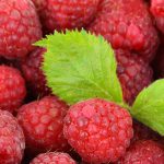 berries-2276_1280