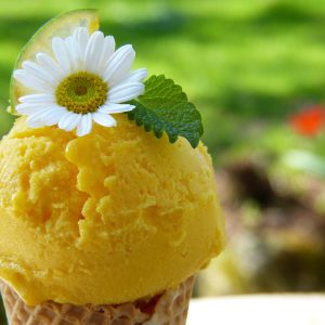 Lemon Basil Ice Cream