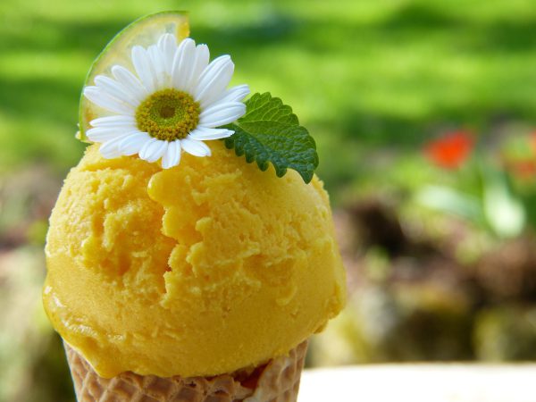 Lemon Basil Ice Cream